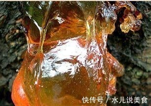 老少皆宜|女人再节俭这5种碱性食物也要吃,补充天然雌激素,让你更年轻