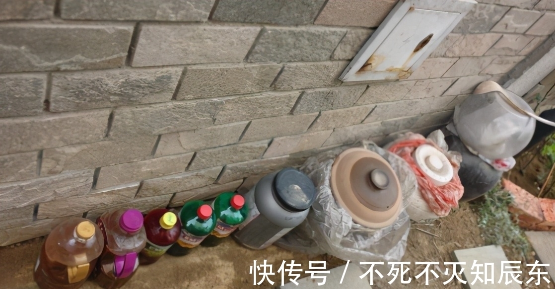 学会制作这3样养花肥,掌握正确用法,不花钱就能用上好肥料