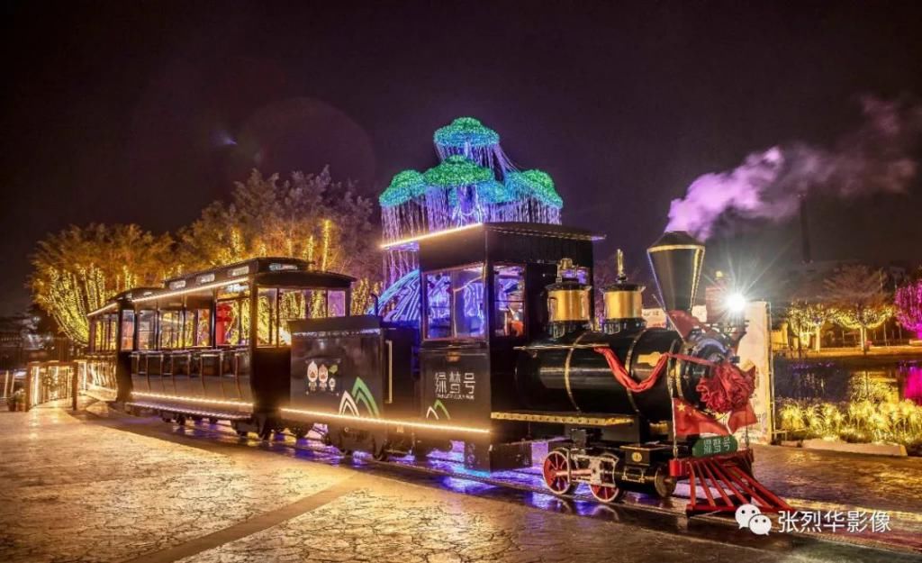 老年|投资500万的观光绿皮火车来了沿途观赏湖光水色