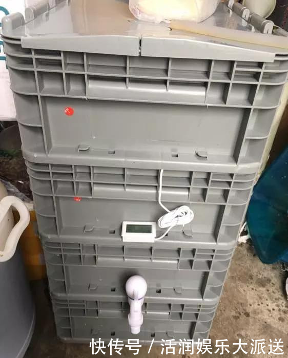 淘米水啤酒水，真不如这种水，养花一绝，浇一盆旺一盆