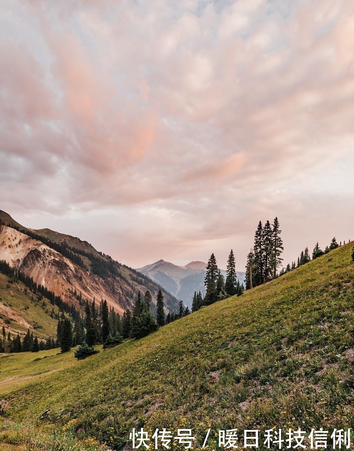 钓鱼|台钓如何打窝（精髓）