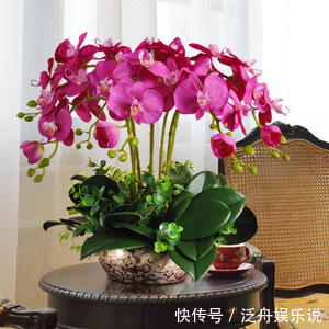 观赏价值|家里养了5种花,4月开败后及时修剪,不然明年没花赏