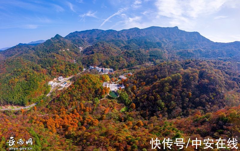 大别山|“岳西红”，大别山迎来绝美秋景