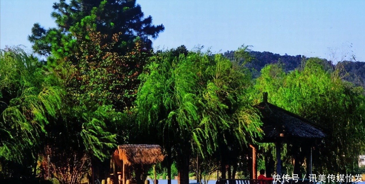 嘉兴有望“升级”的县,称作“旅游之地”,景点百年古树40多株