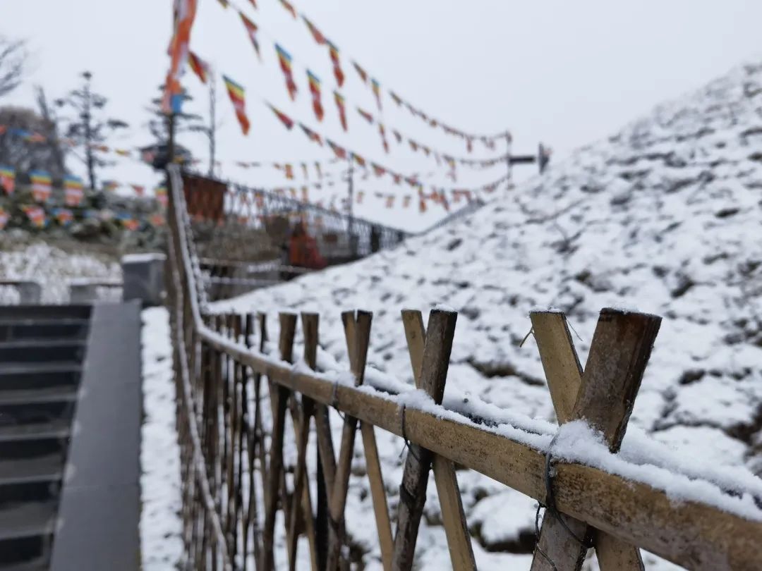 温泉节|下雪啦！峨眉山深秋初雪惊喜而至