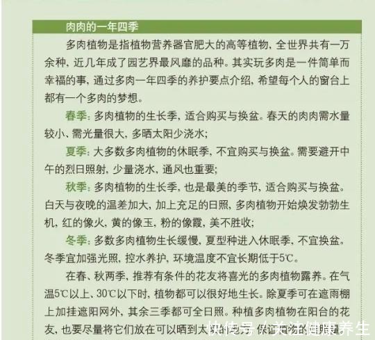 「提示」多肉爱好者们,请收下这份养护攻略!