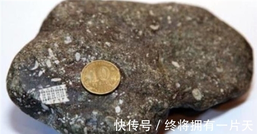 半导体|渔民捡到奇石,镶嵌2.5亿年前“芯片”,史前真的存在高等文明?