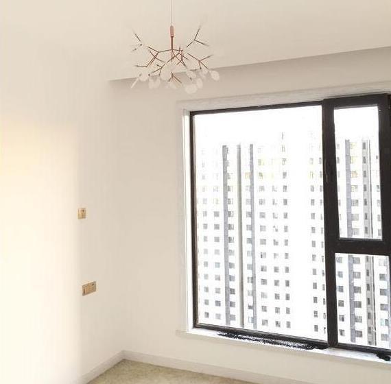 烤漆面|老公坚持餐厅不做柜子,原来用吊兰做隔断可以这么漂亮,学到了