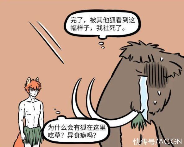 动物园|非人哉:九月动物园打工偶遇同类,对面那狐狸长得挺帅,感觉有事