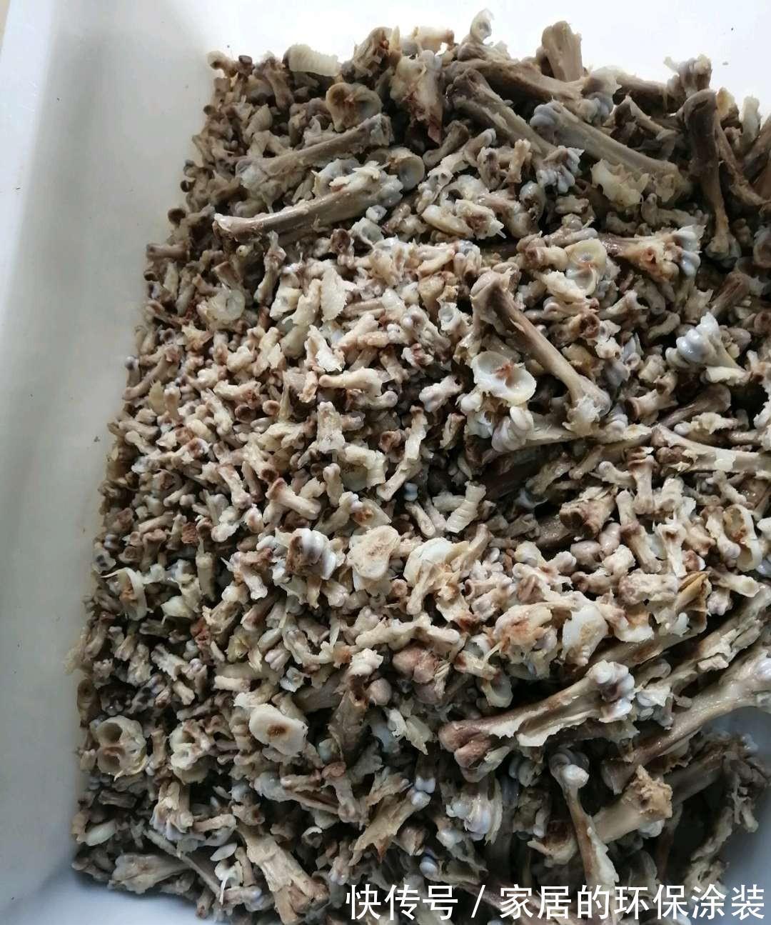 花肥不用买,在家自己做,“垃圾”桶里泡一泡,浇花大爆棚