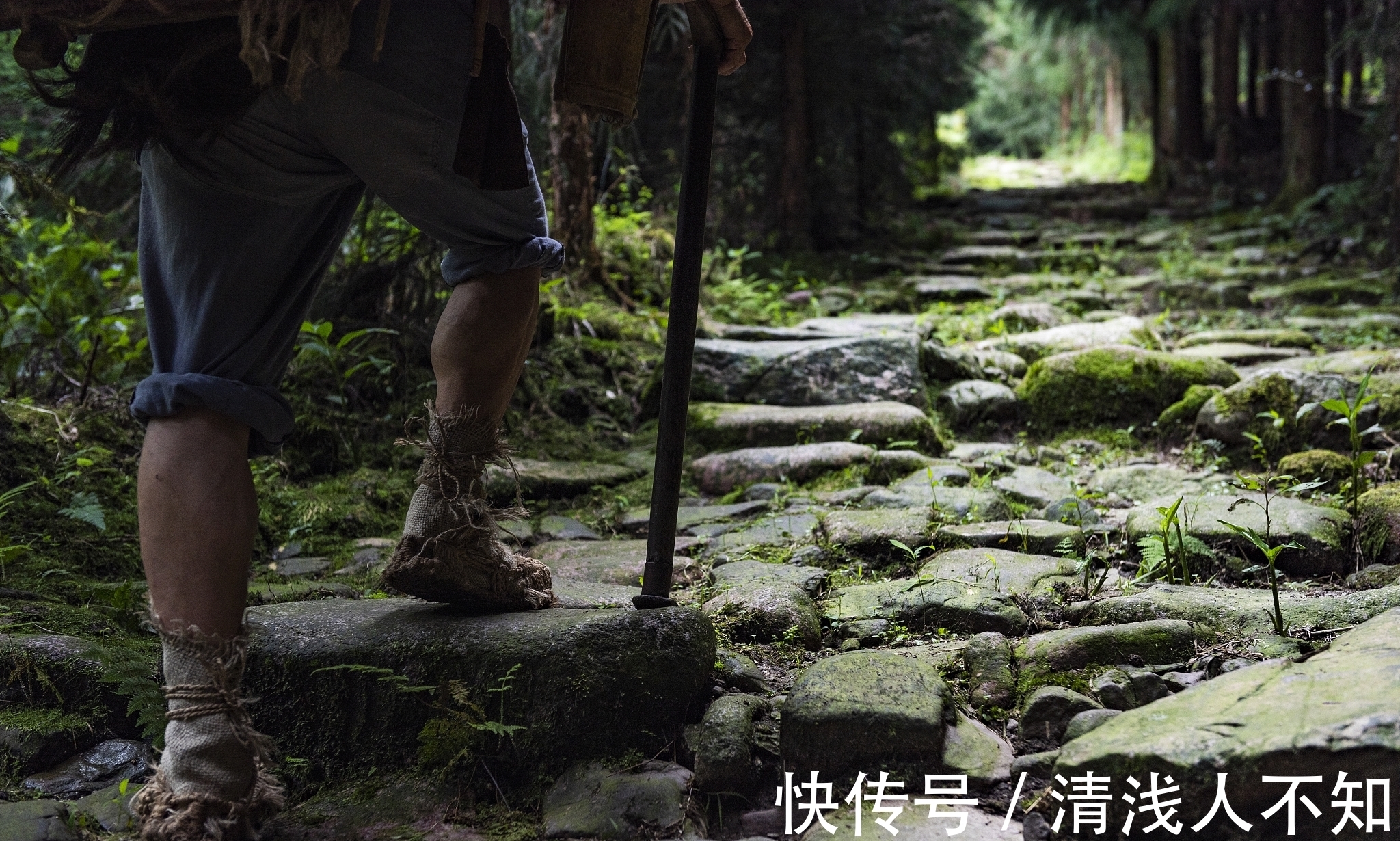 文翁$宋诗精华六首,其中有一首是苏轼的名作,相信您并不陌生