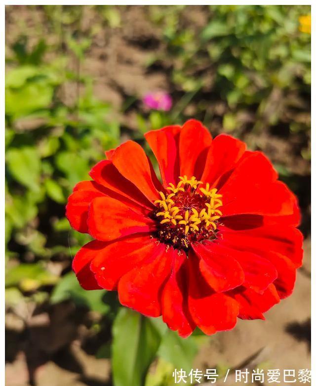 舅舅|当孩子说：我害怕你们笑我……