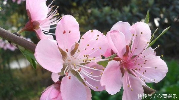 时辰|孩子出生在以下几个吉时，是文曲星转世，智慧过人日后能光宗耀祖