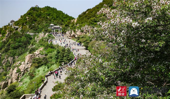 泰山|6月份旅游景区欢乐指数发布 泰山居自然景观类首位