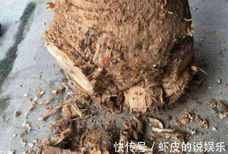 此5种花,整个冬天不浇水都旱不死,一浇就全完