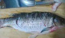 金黄色|17道孜然味的美食菜谱,喜欢吃孜然味道的不要错过哦