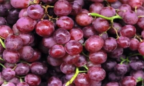 橘子|每天可以坚持吃3种食物,补充营养、改善体质,有益健康