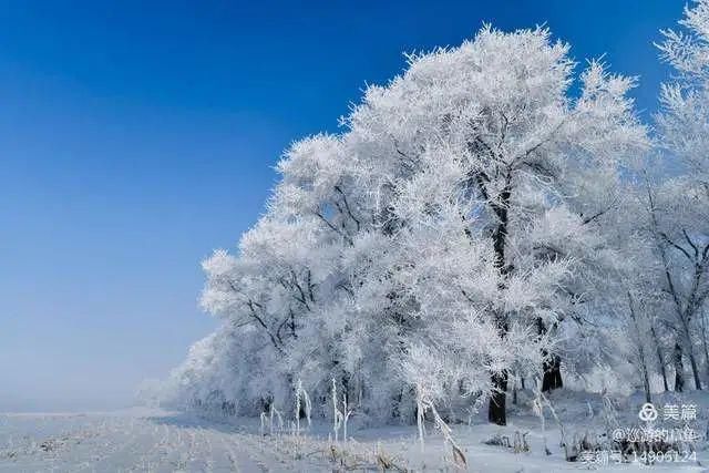 童话|冰天雪地，童话吉林