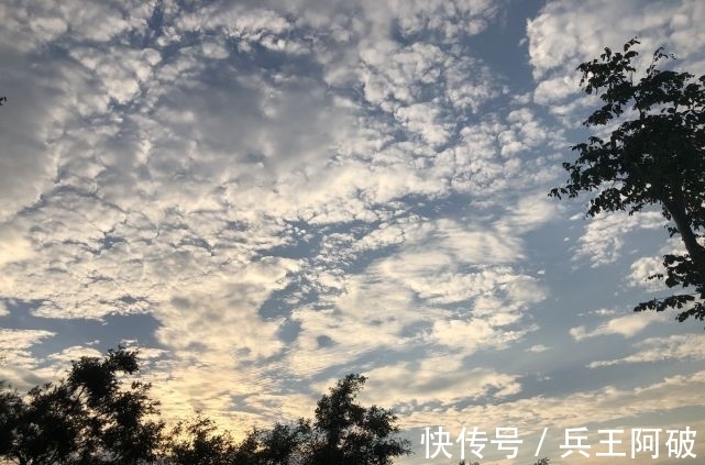 偶数|啥是“公伏头”和“母伏头”,今年是公伏还是母伏?何时入伏?