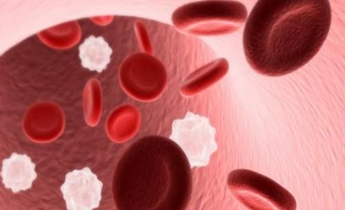 流产|这两种血型对孕妈意义特殊,怀头胎时最好别流,第一个宝宝很重要