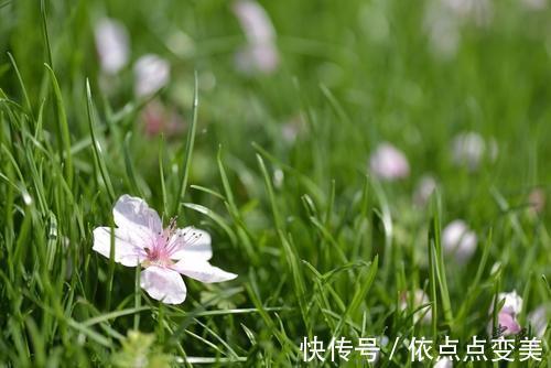 皮肤干燥 【新依美护肤】不同季节的换季对皮肤的影响