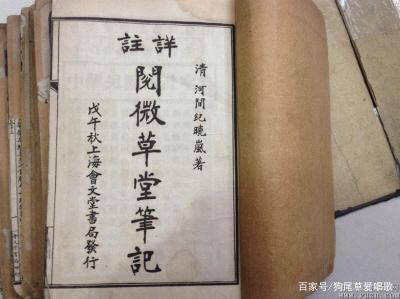 狐狸|狐犹如此,人何以堪《阅微草堂笔记》里的狐