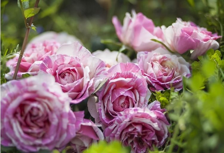 事實(shí)上，看看你家的這個(gè)地方，就知道你過得好不好，沒必要假裝