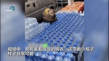“南方人穿拖鞋到东北旅游?!”哈哈哈哈哈哈哈哈哈