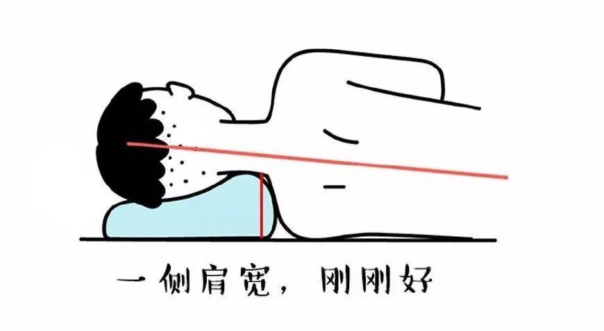 肩部|【健康知识】颈椎病患者必看的防治指南