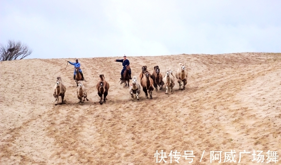 日落|中秋节在乌兰布统敖包吐后山，拍摄骆驼冲沙，遇见美丽的晚霞