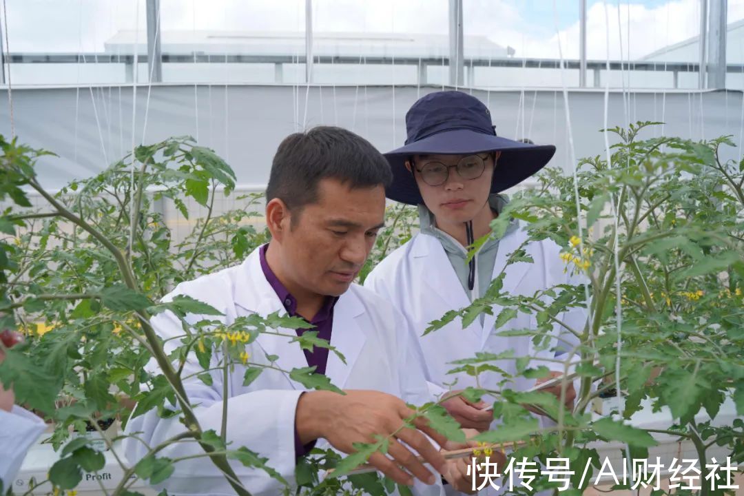 拼多多|拼多多变了:不再烧钱打广告，持续重仓农业，一把手亲自上阵