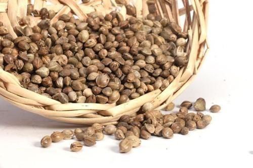 胃肠|便秘“天敌”找到了，不是香蕉，做好3点给肠道来个“大扫除”