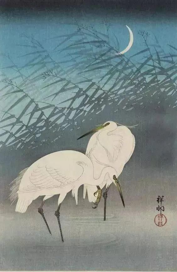 日本绘画大师的花鸟画，淡雅清新