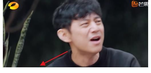 嘉賓們|我就直說(shuō)了那英真不適合《向往5》，沒(méi)說(shuō)她不好，而是容易得罪人