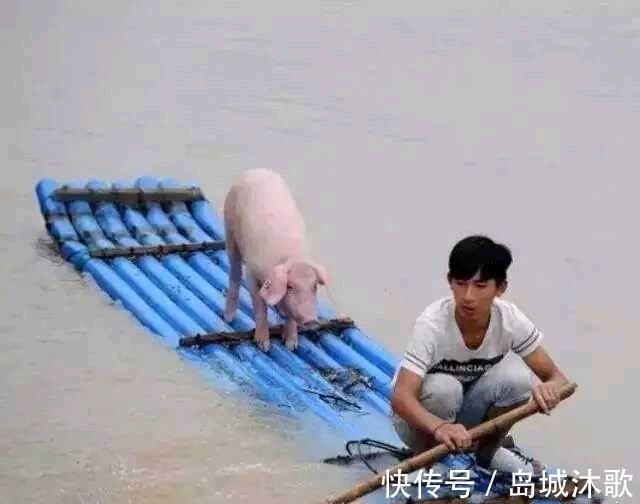 |搞笑图片幽默段子笑话:兄弟你家里没有菜刀么,用钢尺来切西瓜?