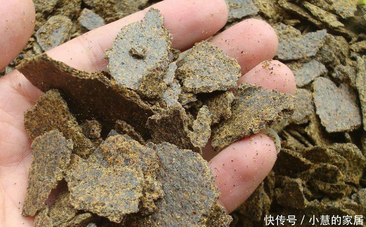 家里有这3种东西不要扔,你以为是垃圾,可它们是植物最好的肥料