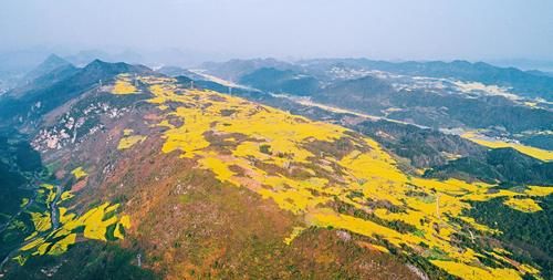 自驾云南，到罗平螺丝田赏油菜花，这份攻略有点不一样