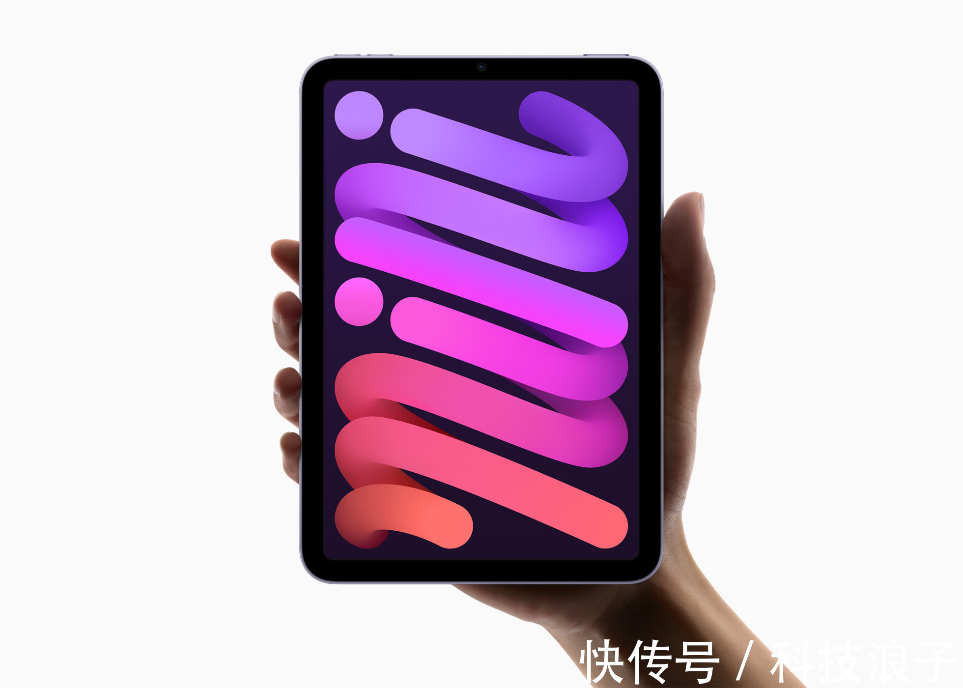 iPad mini 6屏幕大翻车！网友：你笑我买不起，我笑你高价买垃圾