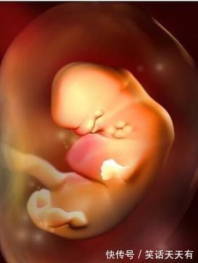 怀孕|胎儿在妈妈肚子里有“两怕”,孕早中晚期各不同,孕妈要分别注意