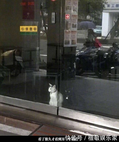 |开心笑话爸,您一天能挣多少老爹8000左右,怎么了儿子