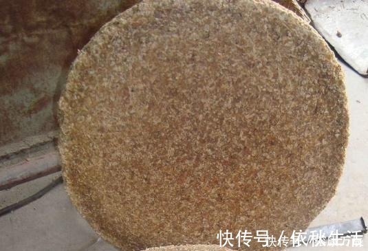 养花不会施肥?换盆时将“它”埋土里,一年不用施肥,花卉长满盆