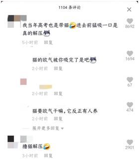 学生们|“校犬阿黄”关禁闭、小奶猫陪考……一场高考告诉你什么叫护到细节