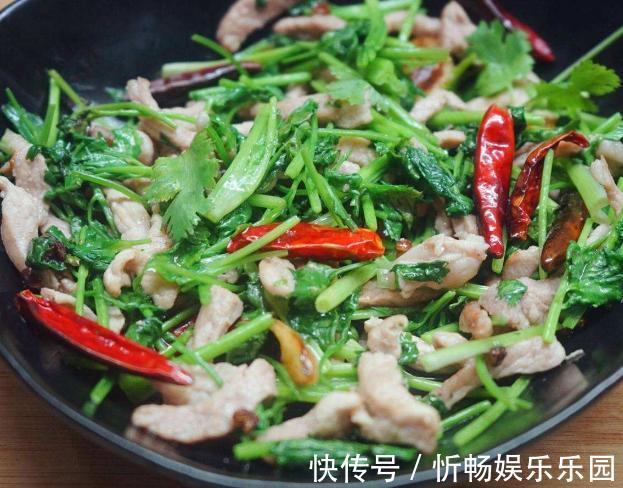 调味菜|香菜吃不完,婆婆用这种方法保存,香菜新鲜脆嫩,放一年都不会坏