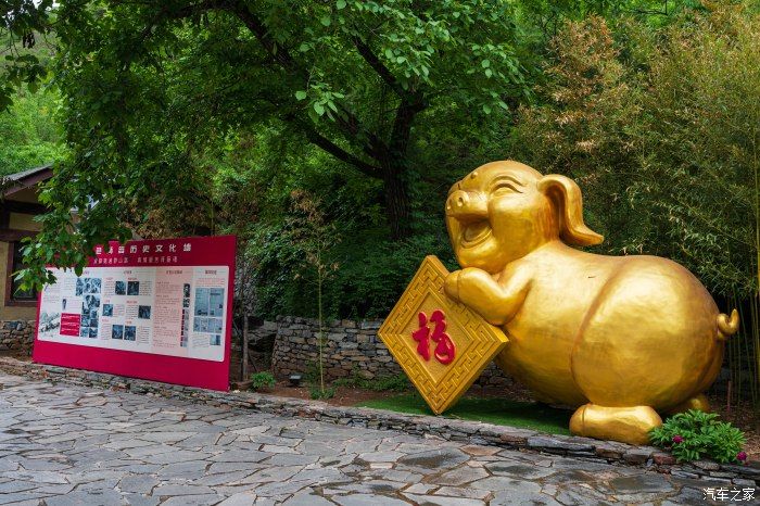 粉红|【郊野行摄】春风拂面，黄栌花开---雨中游京西幽岚山