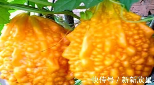 食物|女性要坚持吃3种食物,排毒养颜,延缓衰老,有益身体健康