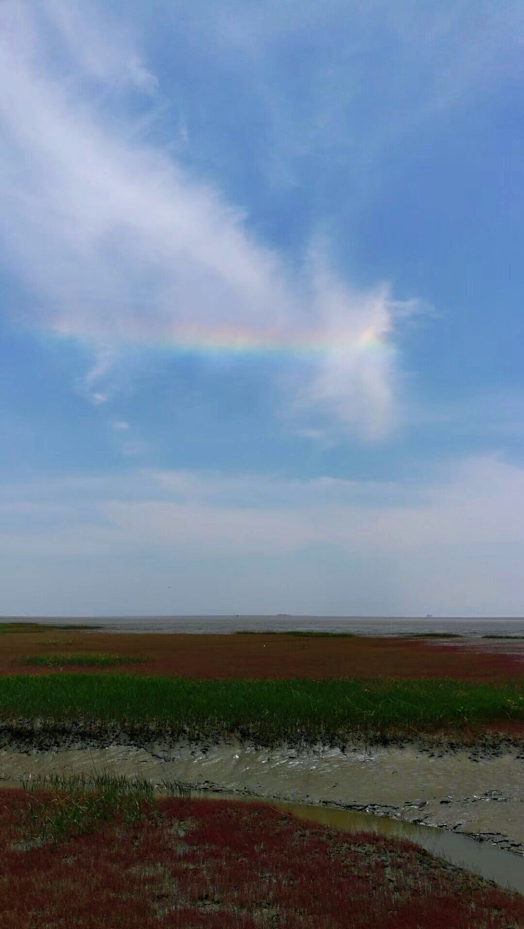 天下奇观红海滩