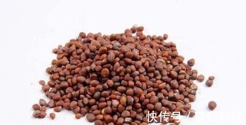 改善|便秘很难受?医生:2样东西混着喝,有效改善便秘,排便一顺到底