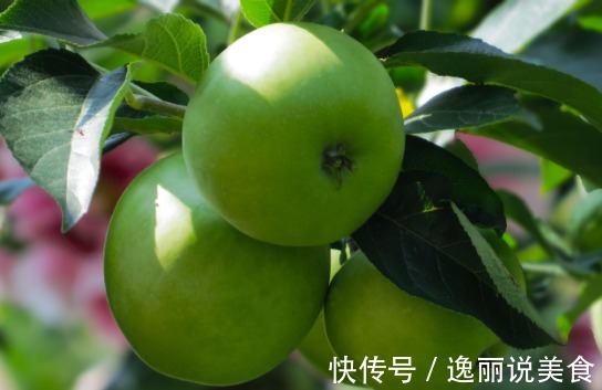 杨梅|女性过了30,多吃3种食物,补水养颜、滋润肌肤,好吃又健康