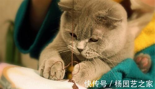 |幽默笑话:小姨子被炒鱿鱼了,她情绪很低落,丈母娘很担心