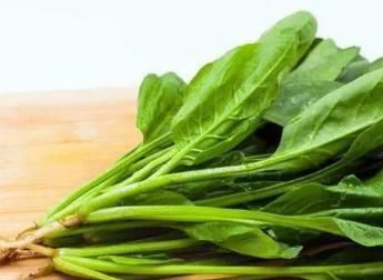 骨骼|茄子是骨质疏松的“发物”?医生:想要养骨,4种食物尽量远离